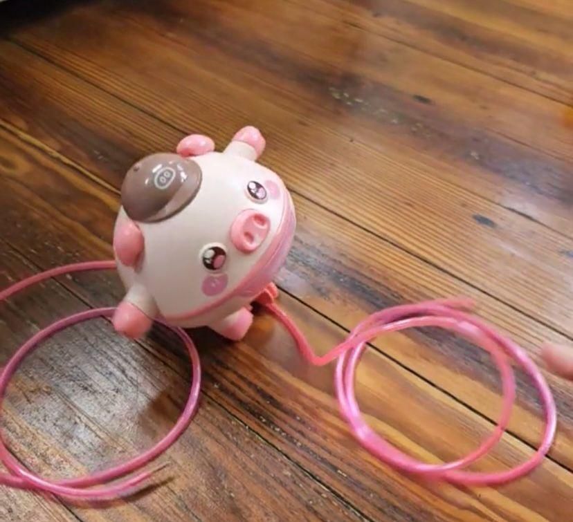 Pig Tightrope Walking Toy